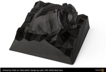 fillamentum CPE HG100 Black Soul - 2,85 mm