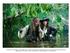 Pirates of the Caribbean - Fremde Gezeiten (3D Blu-ray + 2D Blu-ray)
