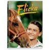 Flicka