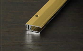 Proline Provario Universal Abschlussprofil Aluminium eloxiert Champagne 270cm
