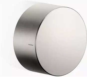 Dornbracht 2-Wege Unterputz-Umschalter &oslash;60mm Platin Matt (36200740-06)