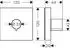 Hansgrohe ShowerSolutions Abstellventil 120/120 Square Unterputz, eckig, Brushed Brass (10972950)