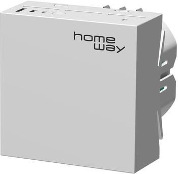 Homeway up.grade Wi-Fi 6 ax LAN/Mesh-Modul