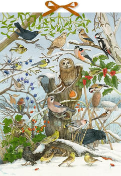 Die Spiegelburg Unsere V&ouml;gel im Winter Adventskalender (95250)