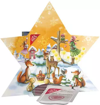 H&S Adventskalender Stern Filterbeutel 24 St.