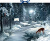 Bild Adventskalender