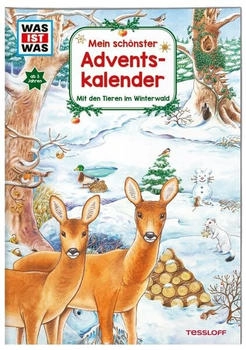 Tessloff 378862128 WAS IST WAS Mein schönster Adventskalender