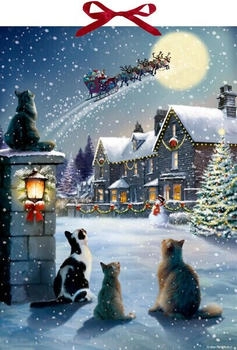 Coppenrath Katzen Weihnacht, Format: 38 x 52 cm