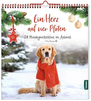 St. Benno Verlag Ein Herz auf vier Pfoten: 24 Hundegeschichten im Advent