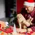 LuxusKollektion Katzen-Adventskalender Adventskalender für Katzen 24-tlg. Interaktives Spielzeug Federstab
