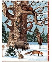 Coppenrath Tiere im Winterwald Adventskalender 2020