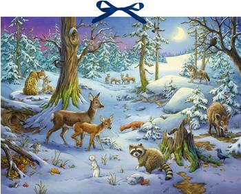Coppenrath Hört ihr die Tiere im Winterwald Adventskalender 2021