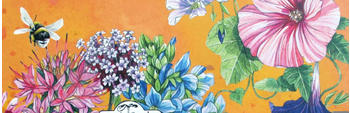 Magic Garden Seeds Bio-Saatgut-Adventskalender 2020 - Insektenfreundliche bunte Stauden, Sommerblumen & Wildblumen