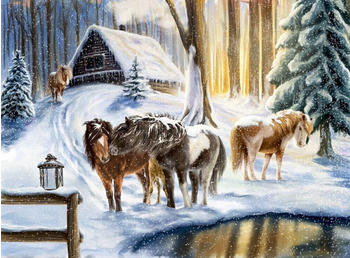 Die Spiegelburg Winterpferde - Wand-Adventskalender