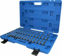 Ks Tools Werkzeugsatz, Sto&szlig;d&auml;mpfer-Kolbenstange BT651050