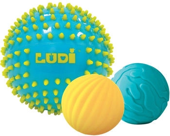 Ludi 30021