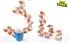NoName Toucan Tower Stacking Fun FSC-Buchenholz (FU002)