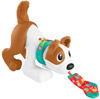 Fisher Price HGY00, Fisher Price 123 Crawl With Me Puppy (DE)