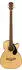 Fender CB-60SCE Elektro-Akustikbass Natural (0970183021)
