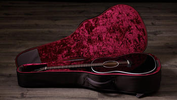 Taylor 217e-BLK Plus (F214034011007983001)