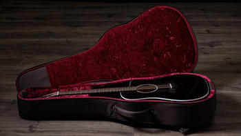 Taylor 250ce-BLK Plus (F214100111007983001)