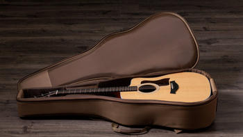 Taylor 210ce (F204000111007961000)