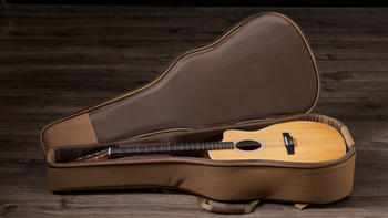 Taylor 214ce-N (C204002103807961000)