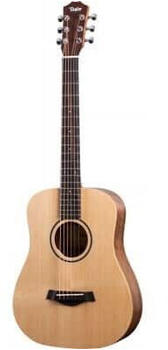 Taylor BT1E Baby