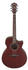 AE100-BUF burgundy flat: Ibanez AE100