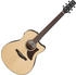 Ibanez AAM300CE-NT Natural High Gloss