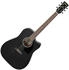 Ibanez PF16MWCE-WK Weathered Black