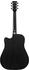 Ibanez PF16MWCE-WK Weathered Black