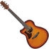 Ibanez AAM50LCE-OL Open Pore Light Brown Sunburst