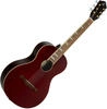 Ortega Akustikgitarren