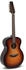Applause AAJ96-1 Jumbo 12-string