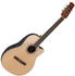 Applause AB24CS-4S Standard Mid Depth Gitarre Natural Satin