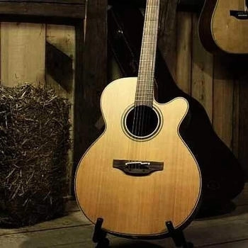 Takamine P3NC NEX/C