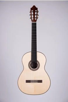 Duke Guitars Meister ST