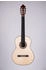 Duke Guitars Meister ST