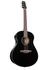 BK: Ibanez AAM100E