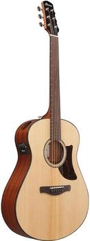 Ibanez AAM100E NT
