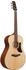 NT: Ibanez AAM100E