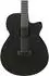 Ibanez AEG1221 12-saitige Elektro-Akustikgitarre, Black Out (AEG1221-BOT)