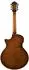 Ibanez AE3007FMH Westerngitarre Grand Auditorium Tobacco Edge Burst (AE3007FMH-TBH)