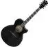 Ibanez AE170 Westerngitarre transparent schwarz hochglanz (AE170-TBK)