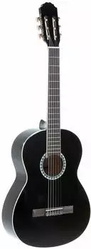 Gewa Akustikgitarren