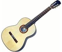Hanika 54-PF Gitarre, Natur, Mahagoni, Rechts, Fest, 6 Saiten