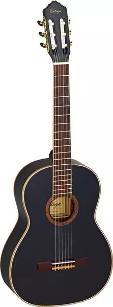 Ortega R221