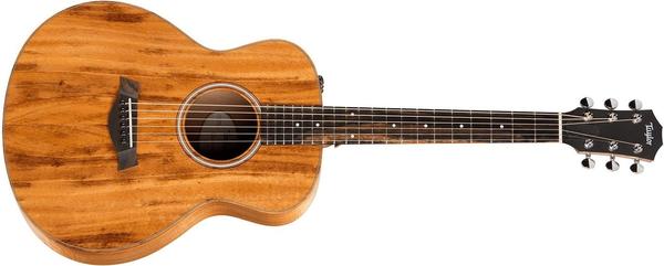 Taylor GS Mini e KOA 255