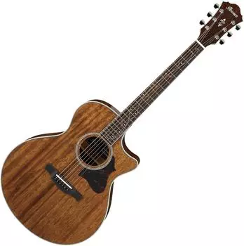 Ibanez AE Series AE245-NT Natural